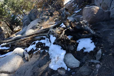 DSC_5189 (Large).JPG